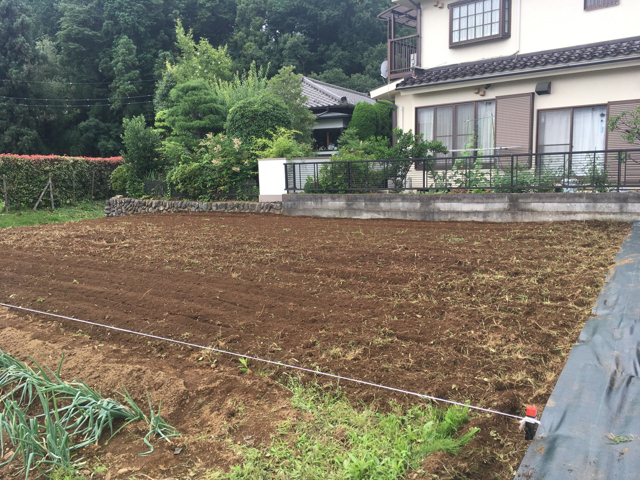 ⑤区画A
