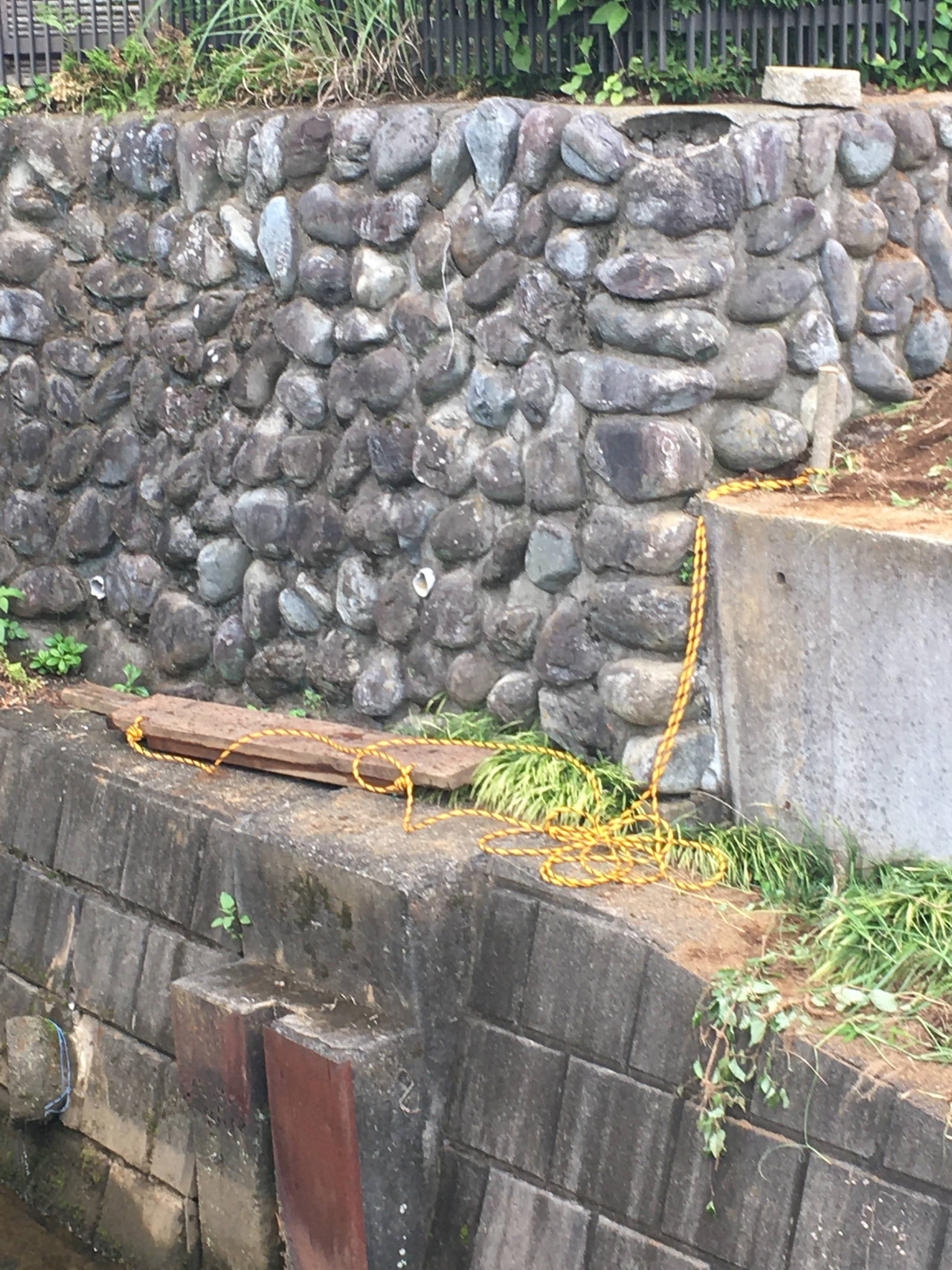 取水板（ロープ）